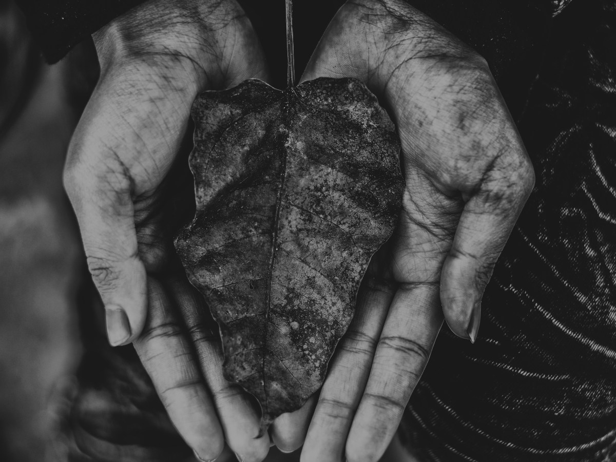 Heartbroken | two hands cupping a heart-shaped leaf