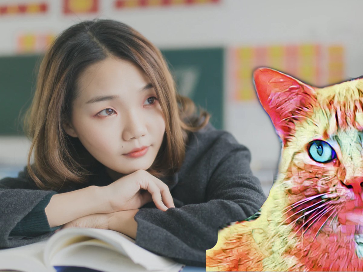 A student and cat reflect on life.