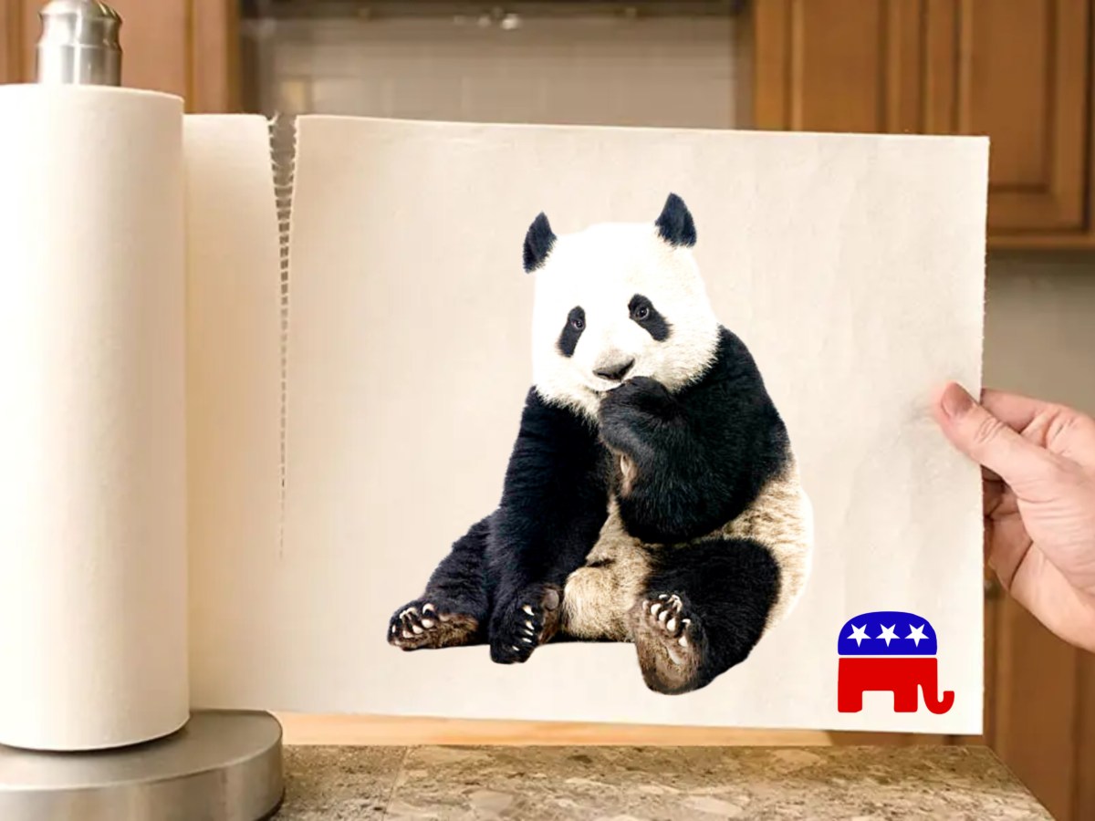 A panda bear on a paper towel