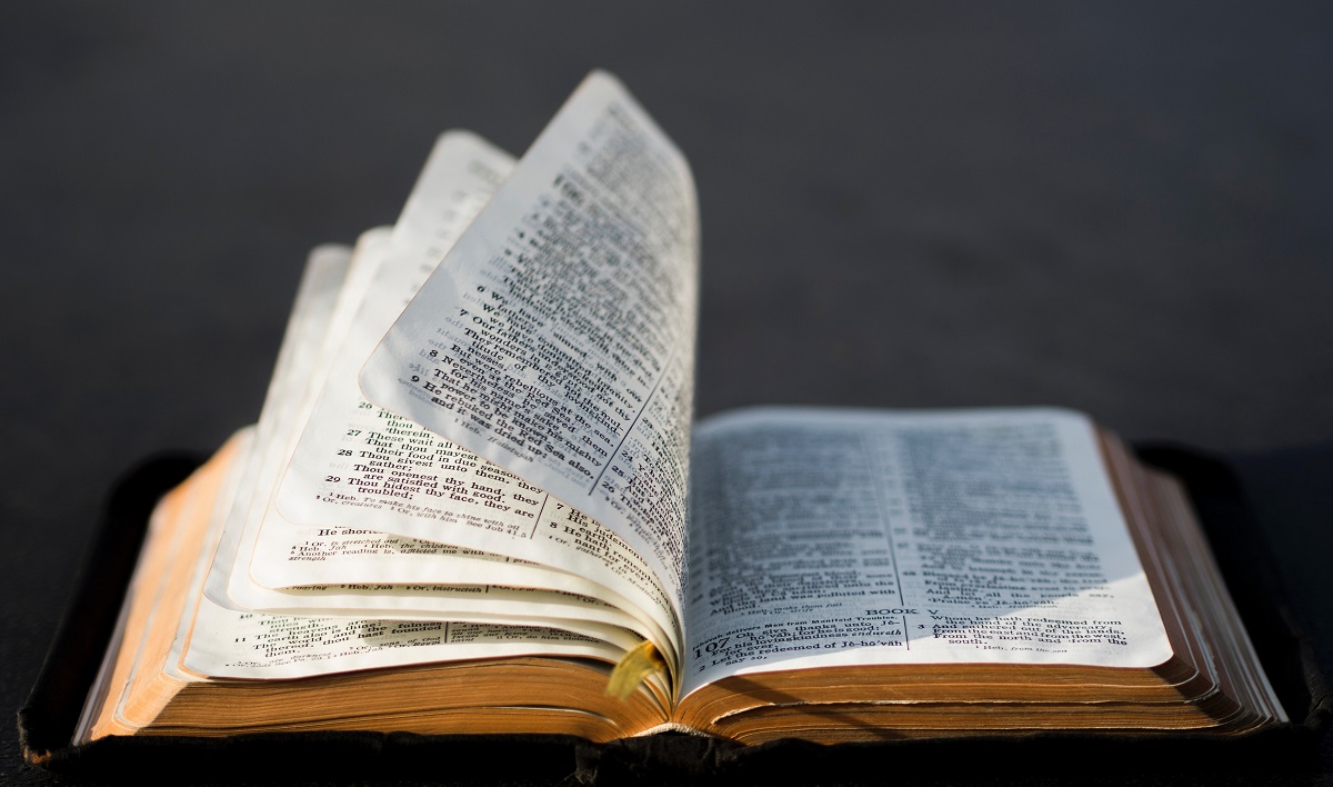 Why control-hungry Christians desperately need literalism | an open bible with pages turning by themselves, gray background