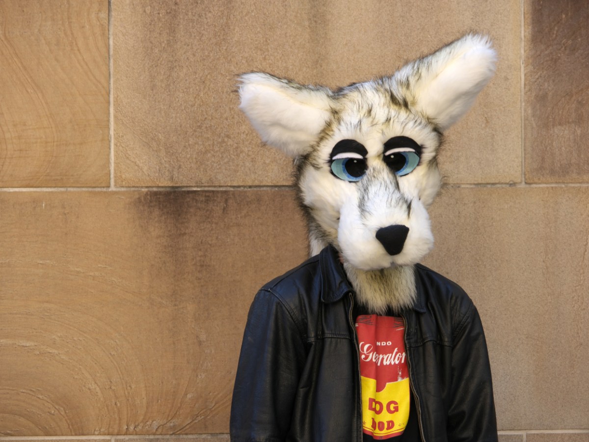 Evangelical Christian furries are worried they'll be targeted for their faith | Is it harder to be a furry or a conservative Christian?