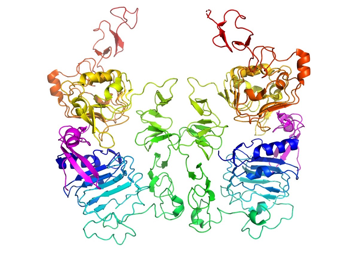A diagram of complex folded proteins | AI solves the protein-folding problem